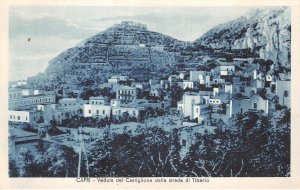 Lot320 capri veduta del castiglione dalla strada di tiberio italy