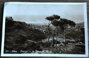 Postcard Used “Dhour el Chouver” Lebanon  PM/1954 RPPC L31