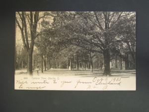Oberlin OH College Campus c1910 Postcard