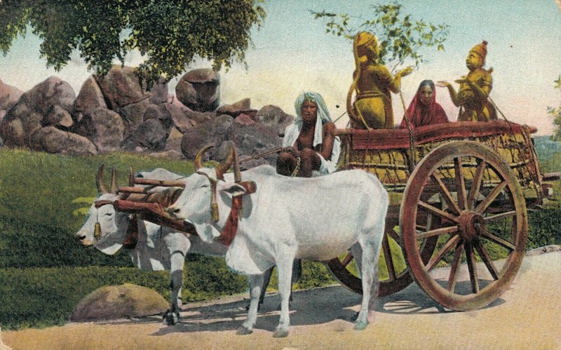 India - Bullock Cart 04.38