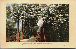 Roses All The Year Around In California Vintage Postcard C105