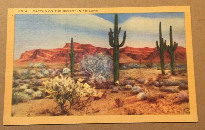 NO DATE USED LINEN POSTCARD CACTUS ON THE DESERT IN ARIZONA