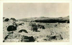 Arizona Bunnell Route 66 Petrified Forest 1950s RPPC Photo Postcard 20-11899