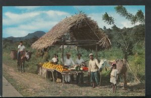 Central America Postcard - Panama - A Typical Native Fuitstand    T5032