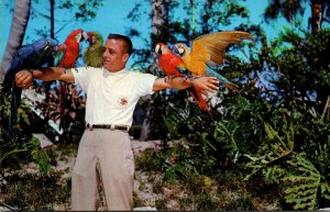 Florida Tampa Busch Gardens Bird Trainer Rich Naegeli With Colorful Macaws