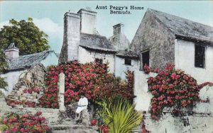 Aunt Peggy's Home Bermuda