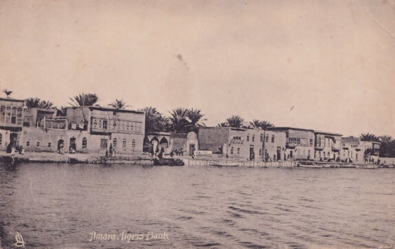 Tigris Bank Amard Iraq Old Postcard