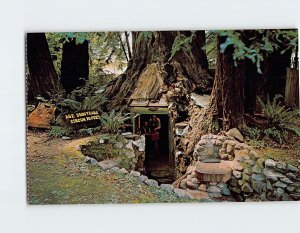 Postcard Eternal Tree House, Avenue of the Giants, Redcrest, California