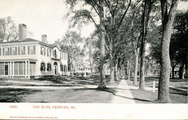 ME - Fryeburg. Main Street, the Elms