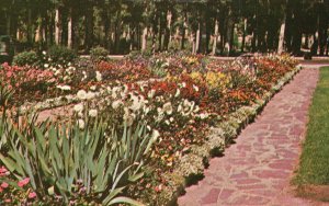 Postcard Washoe Park Flower Border Near The Pioneer Cabin Anaconda Montana MT