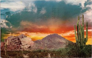 Camelback Mountain Phoenix AZ Arizona Sunrise Cactus 1960s Petley Postcard H1