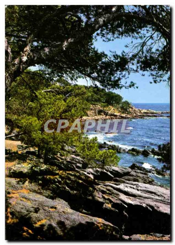 Postcard Modern Pinede and cove of the Mediterranean Riviera