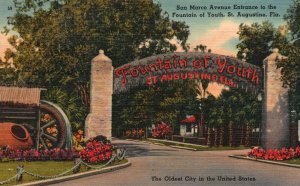 Vintage Postcard San Marco Avenue Entrance To Fountain Of Youth St. Augustine FL