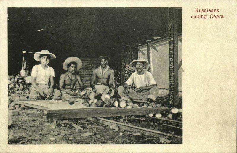 Micronesia, KOSRAE KUSAIE, Native Kosraeans cutting Copra (1910s) Postcard