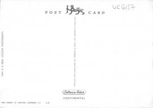 uk6157 pine forest st martins guernsey uk