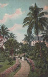 ROYAL POINCIANA GARDEN NORTH WALK PALM BEACH FLORIDA POSTCARD (c. 1910)