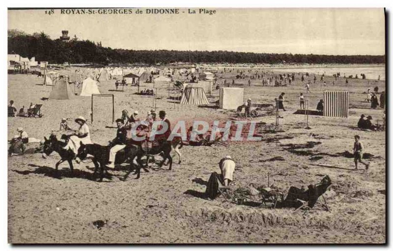 Old Postcard Royan St Geroges Didonne The Beach Donkeys