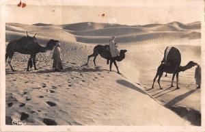 BF8488 camel biskra dans les cdunes constantine algeria    Algeria