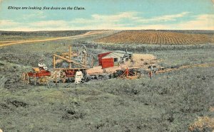 THINGS ARE LOOKING FINE DOWN ON THE CLAIM~HOMESTEAD FARM~AGRICULTURE POSTCARD