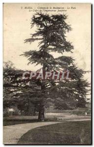 Old Postcard Rueil Malmaison Chateau of Le Parc Le Cedre of lmperatrice Josep...