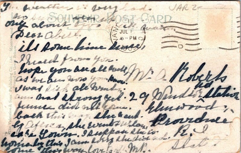 Big Cedar Tree Stanley Park Vancouver BC Driveway View Forestry Postcard Note PM 