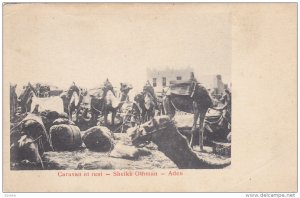 Caravan at rest - Sheikh Othman , ADEN , 00-10s