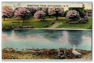 1945 Greetings From Maplecrest New York N, Ducks River Blossom Tree Postcard 