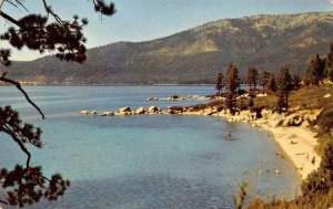 North Shore LAKE TAHOE Nevada-California Frashers 1954 Vintage Postcard