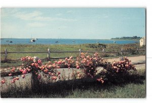 Stage Harbor Chatham Cape Cod Massachusetts MA Vintage Postcard General View