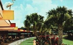 Vintage Postcard Gift Shops Promenade Bordered Colorful Garden Silver Springs FL