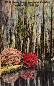 South Carolina Charleston Cypress Gardens Semi-Tropical Wonderland 1953 Curteich