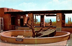Arizona Tucson Sonora Desert Museum Lizard Pit