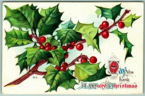 May You Have a Merry Christmas Holly Branch Berries Embossed 1912 DB Postcard F4