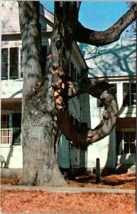 Postcard HOUSE SCENE Fryeburg Maine ME AN0728