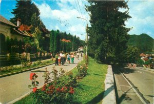 Romania Olanesti aleea trandafirilor Postcard