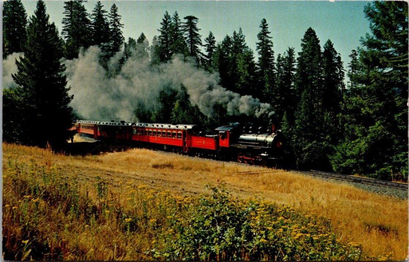 Trains California Western Railroad Super Skunk