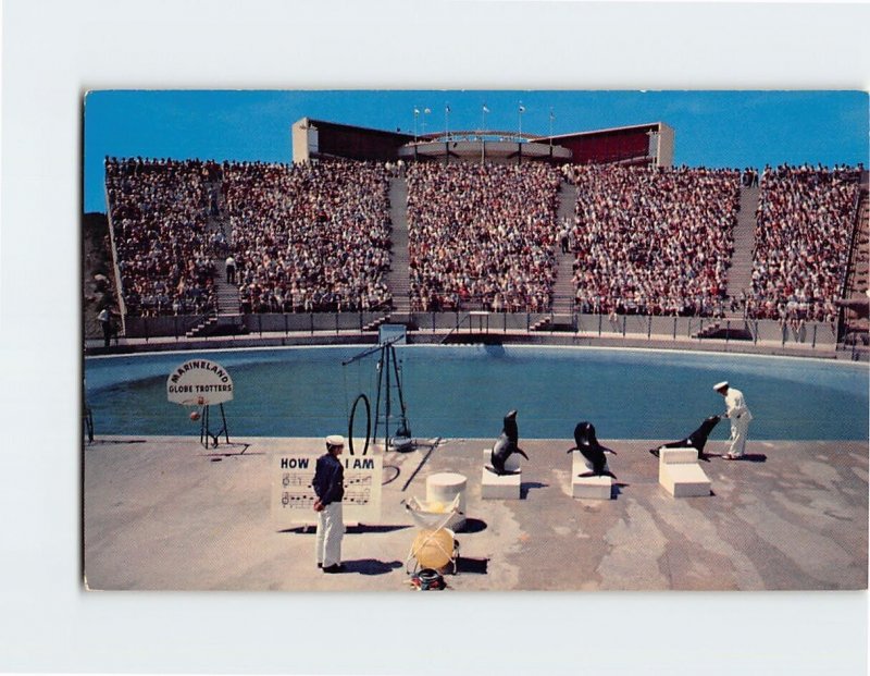 Postcard Sea Arena from Backstage Marineland of the Pacific Los Angeles CA USA