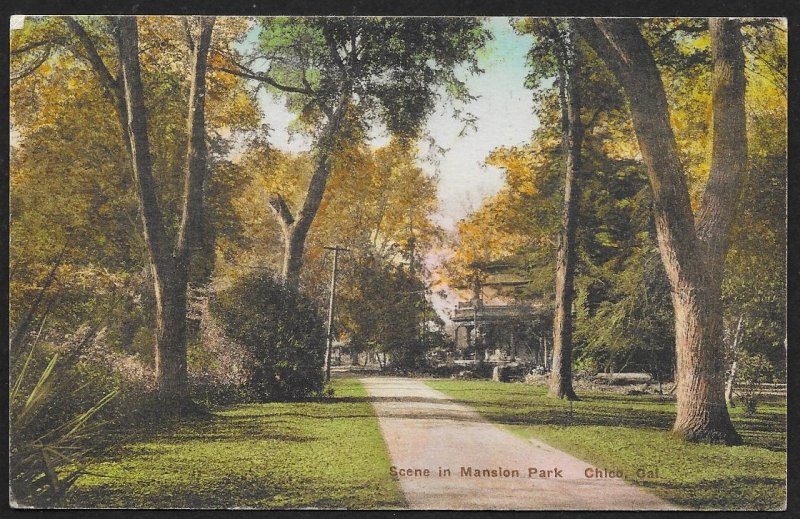 Path In Mansion Park Chico California Unused c1920s