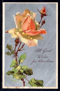 All Good Wishes For Christmas,Rose