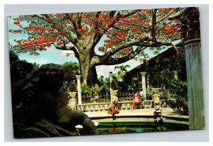 Vintage 1960's Advertising Postcard Kapok Tree Inn Clearwater Florida