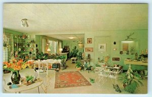 CAPTIVA ISLAND, Florida FL ~ Gift Shop McCAUL'S Interior ca 1950s-60s Postcard