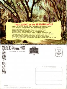 The Legend of the Spanish Moss (16742