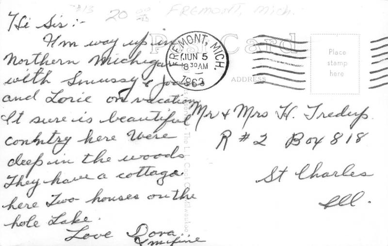 Fremont Michigan~Multi Mini View~Hotel~Lake~Bank~School~Black Back 1963 RPPC