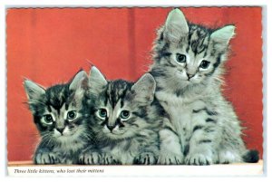 THREE LITTLE KITTENS Who Lost Their Mittens c1970s ~ 4 x 6 inches Postcard