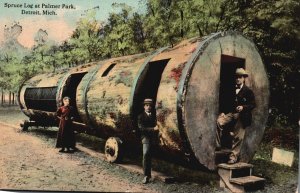 Vintage Postcard 1912 Spruce Log Palmer Park Interest Site Detroit Michigan MI