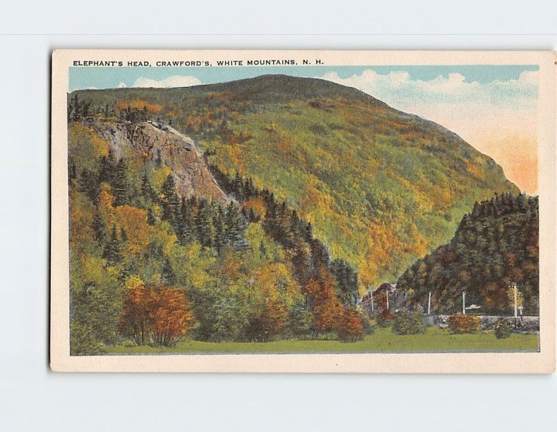 Postcard Elephant's Head Crawford's White Mountains New Hampshire USA