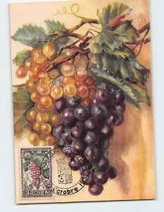 Postcard A Bunch of Grapes Painting