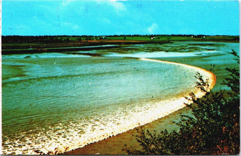 Canada The Tidal Bore Moncton New Brunswick Vintage Postcard C260