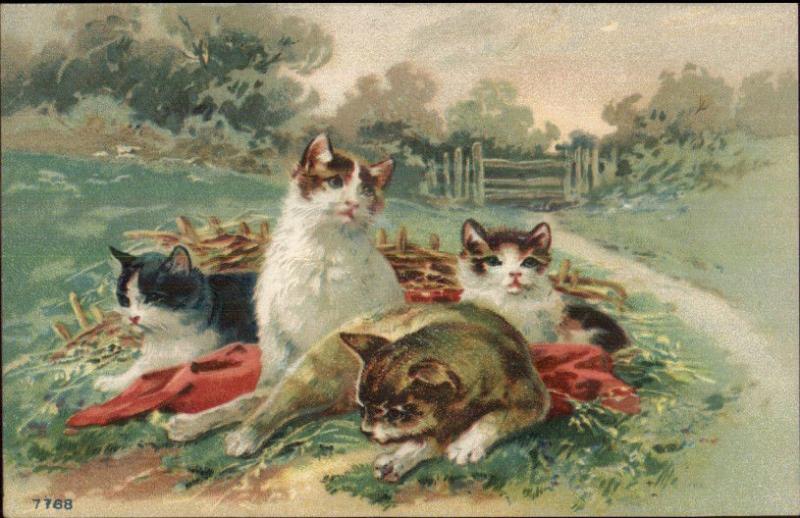 Kitty Cats Lounging in Grass Field #7768 c1910 Embossed Postcard EXC COND