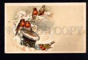 3041097 BIRDS near TOP HAT Style KLEIN vintage RPPC Astakhova